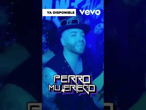 perro mujeriego out now perromujeriego youtube thumbnail